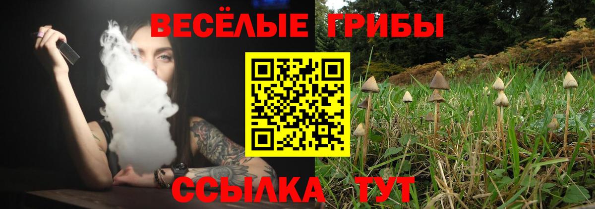 Миллерово  Галлюциногенные грибы Psilocybe  Вход с VPN 